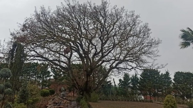 Büyükçekmece Tepekent Villaları